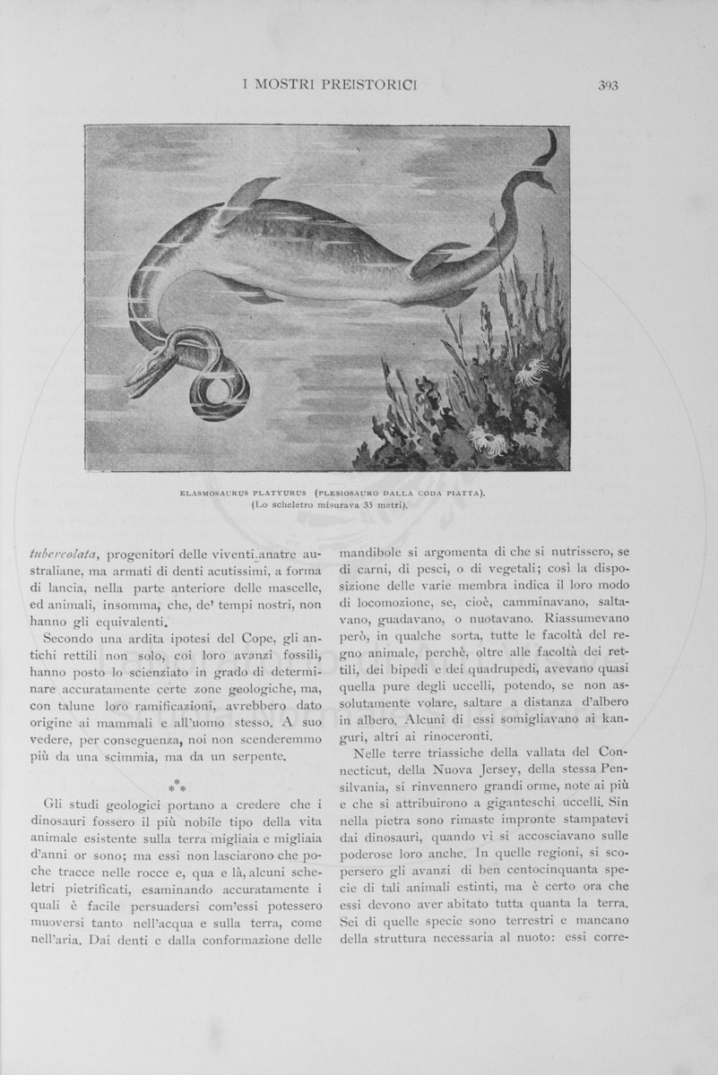 pagina