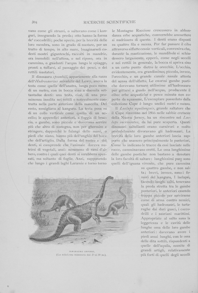 pagina