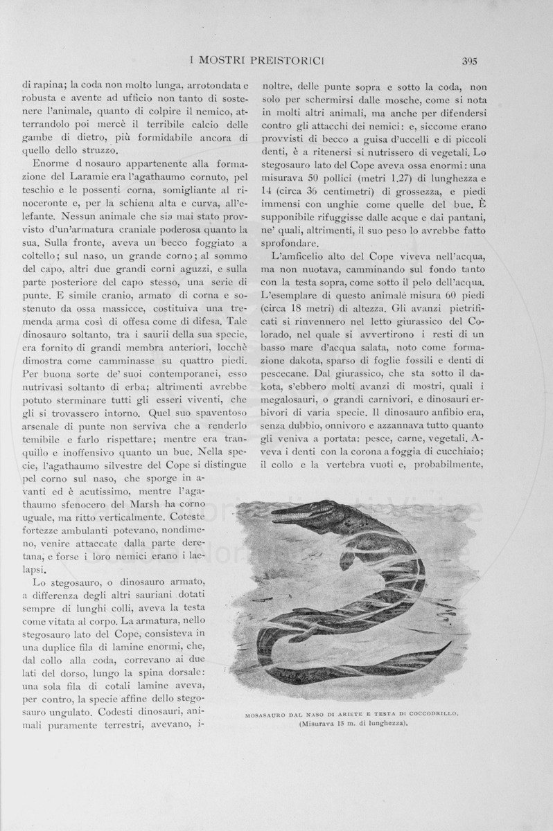 pagina