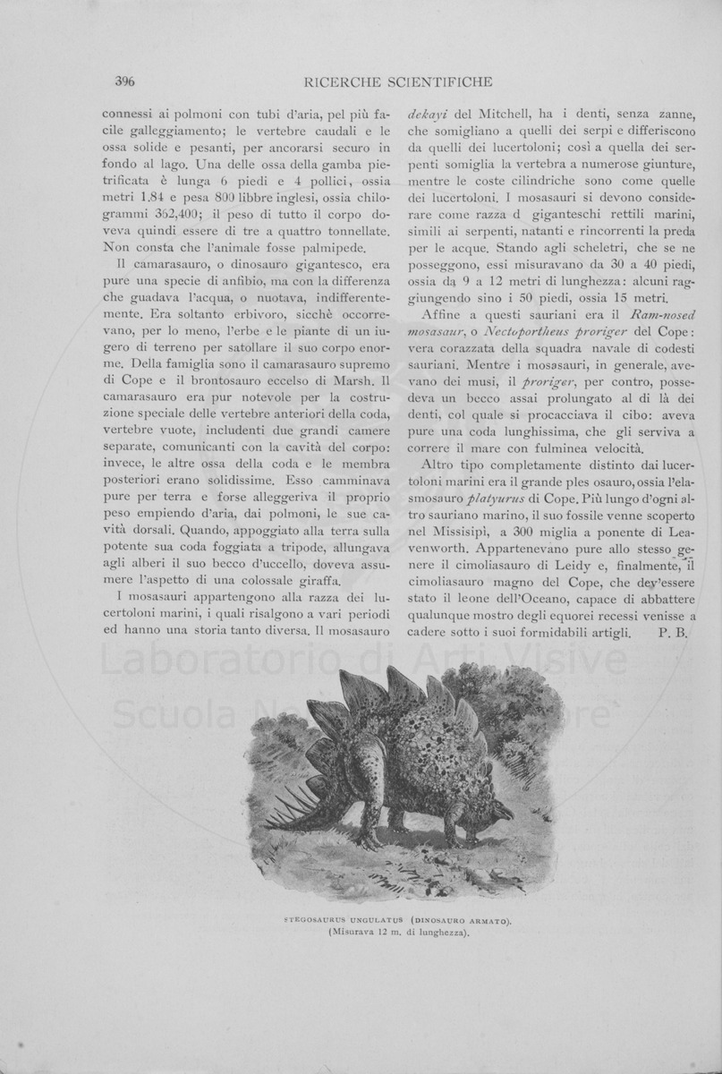 pagina