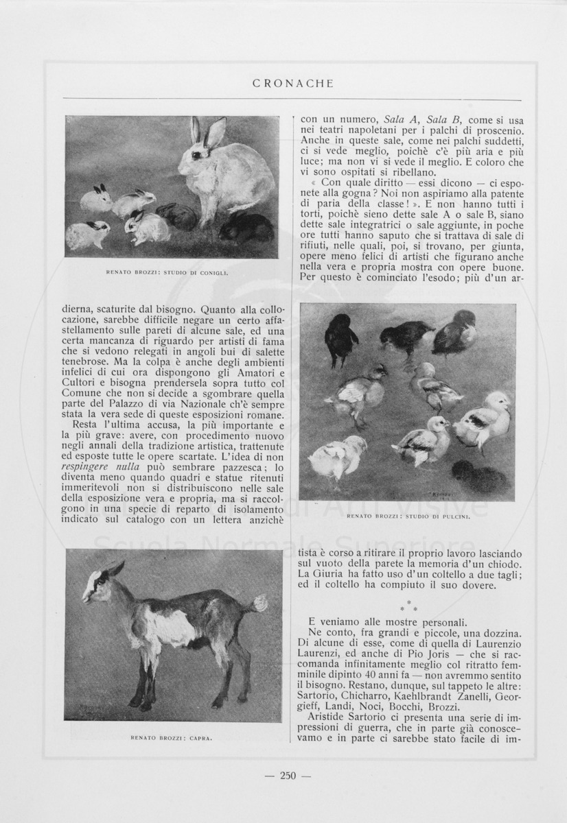 pagina
