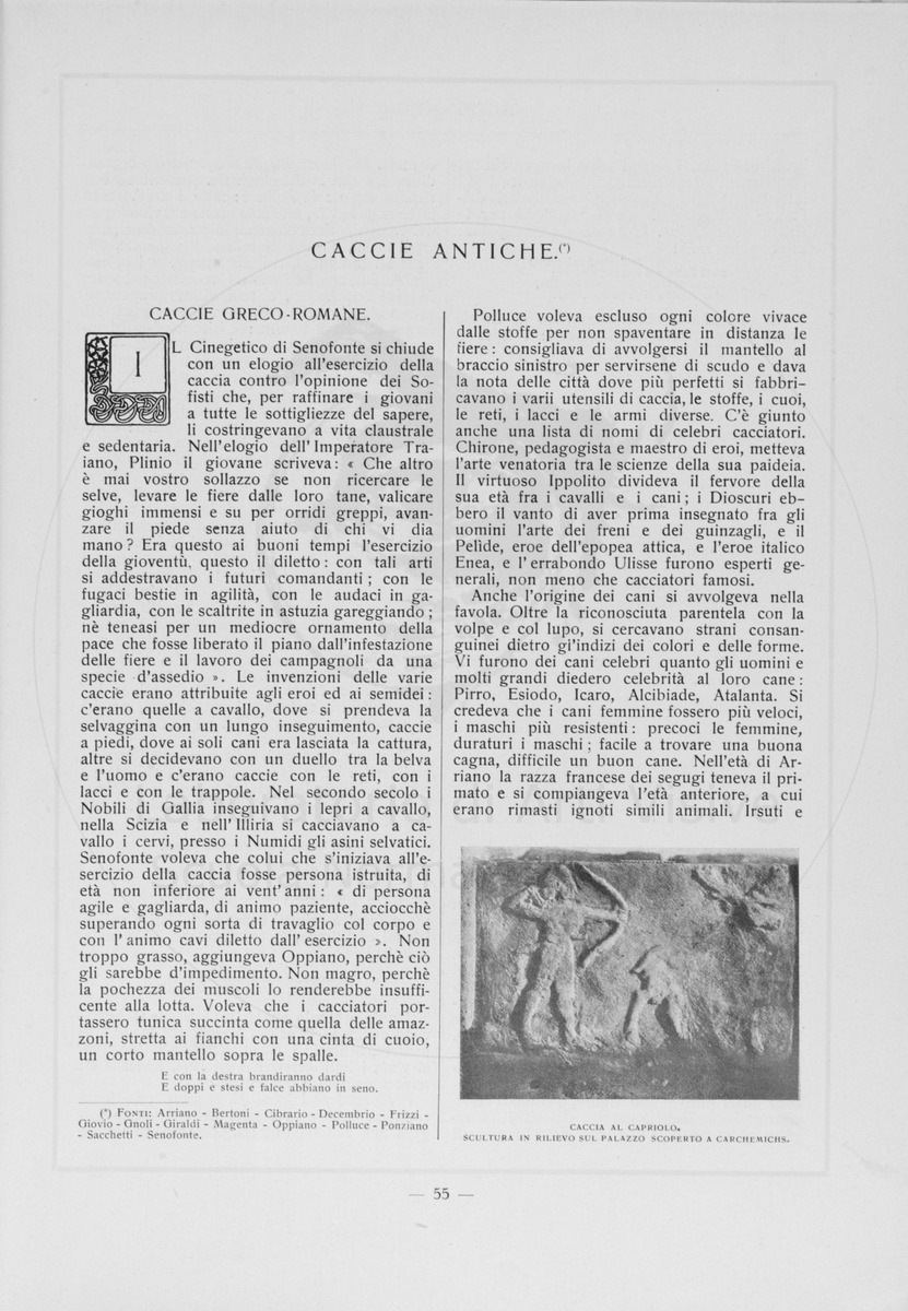 pagina