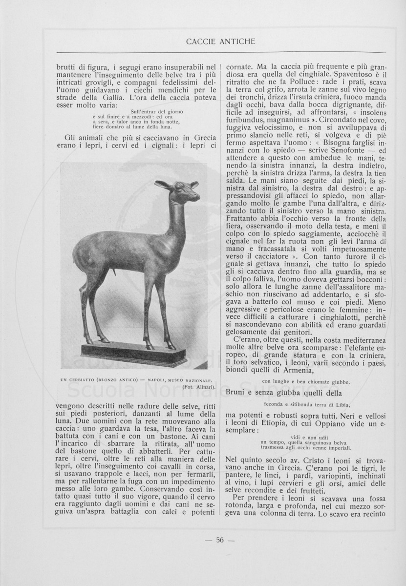pagina