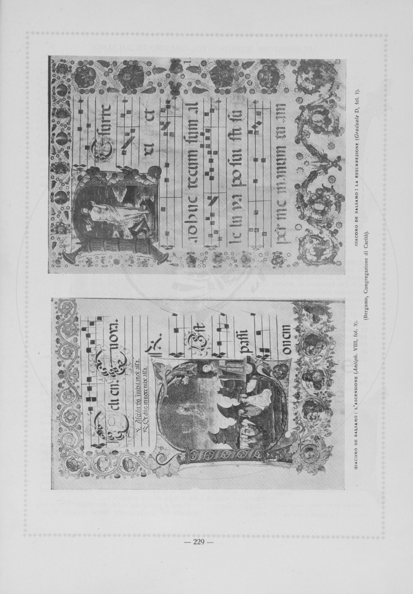 pagina