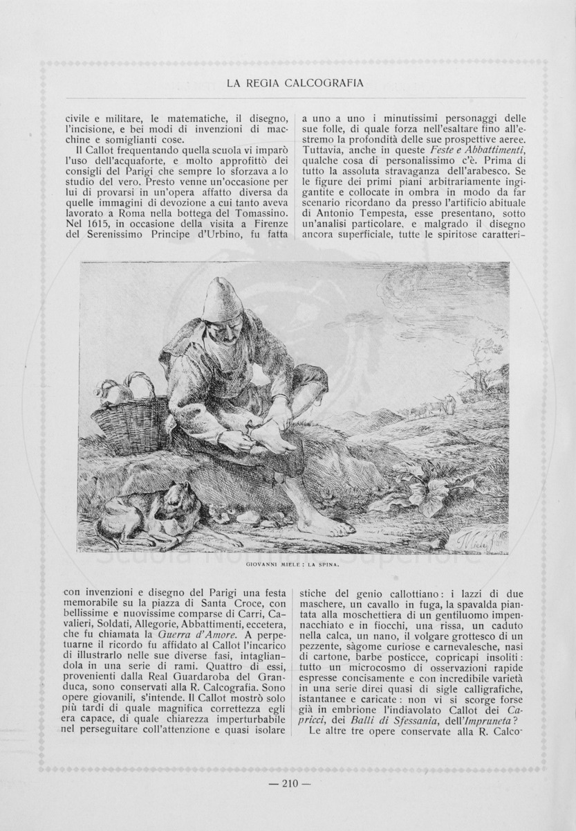 pagina