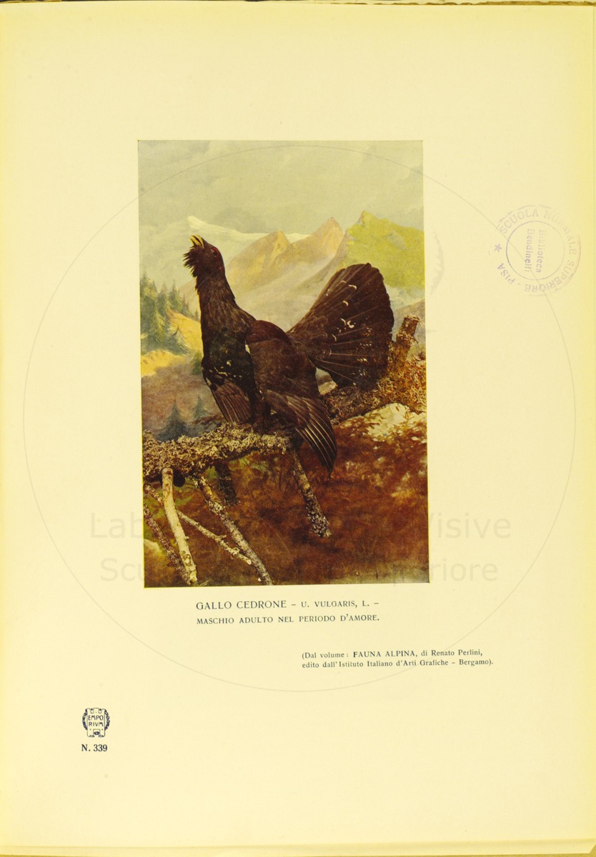pagina
