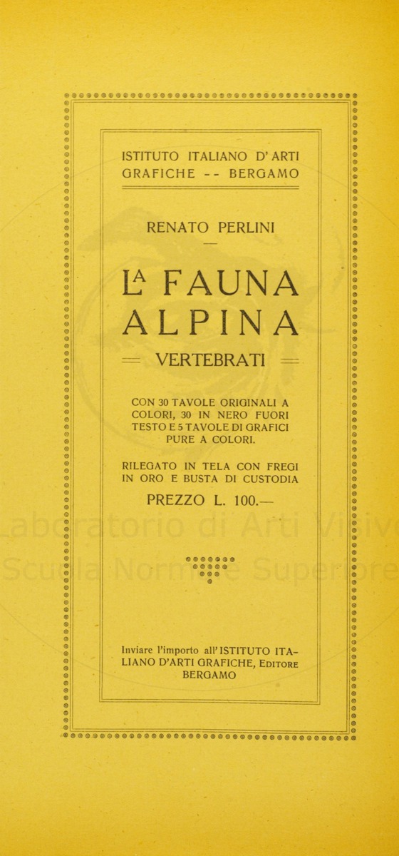 pagina