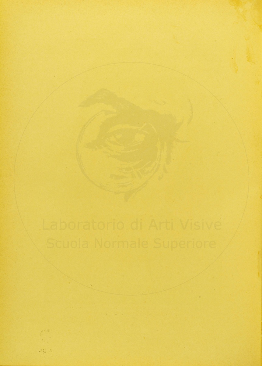 pagina