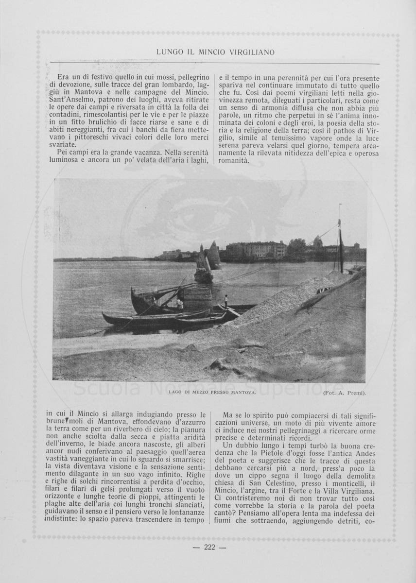 pagina