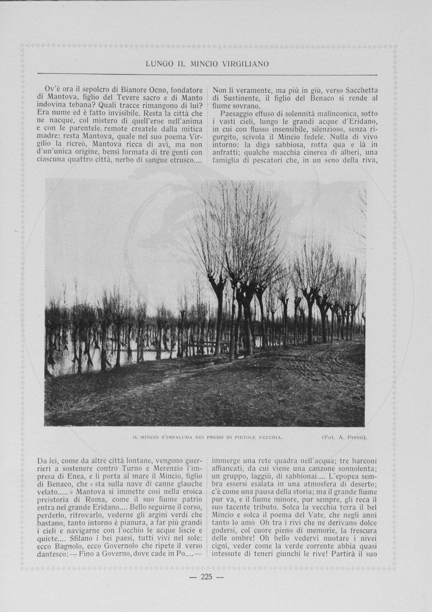 pagina