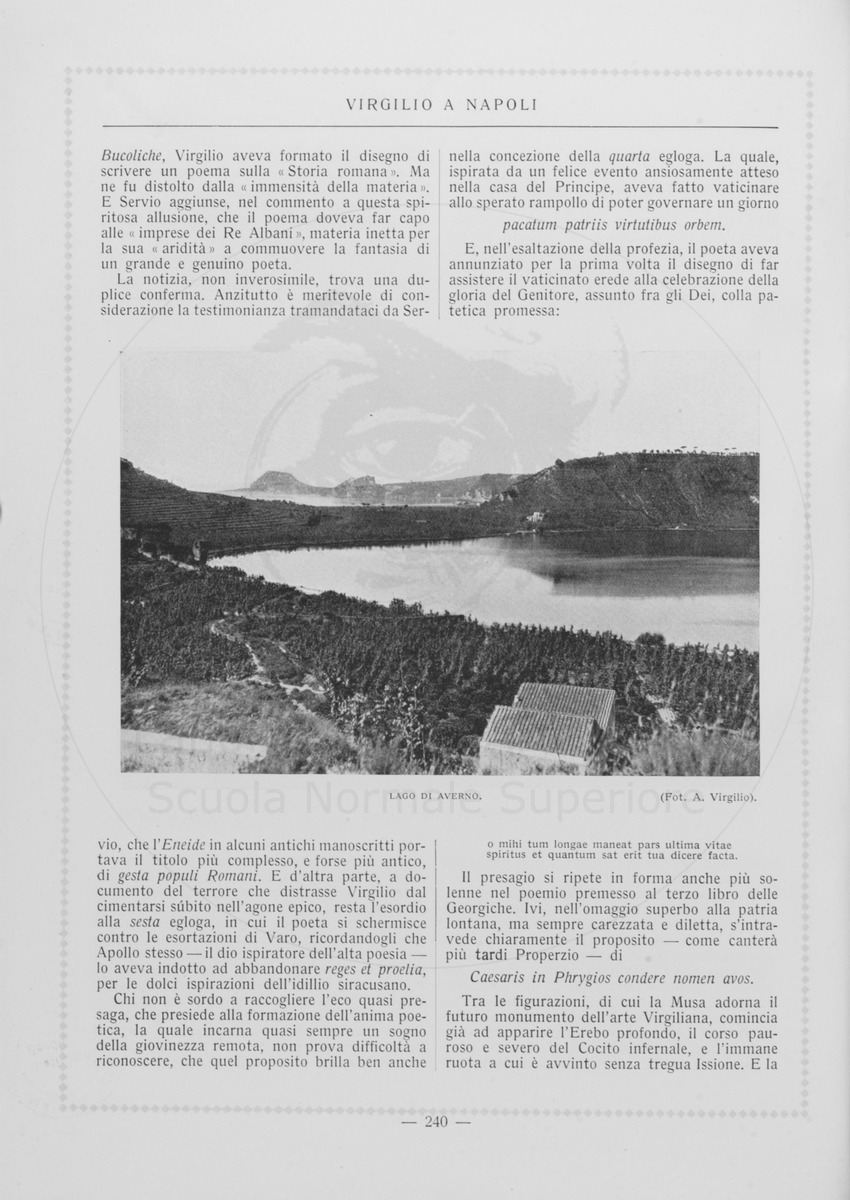 pagina