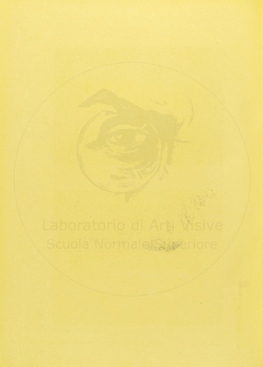 pagina