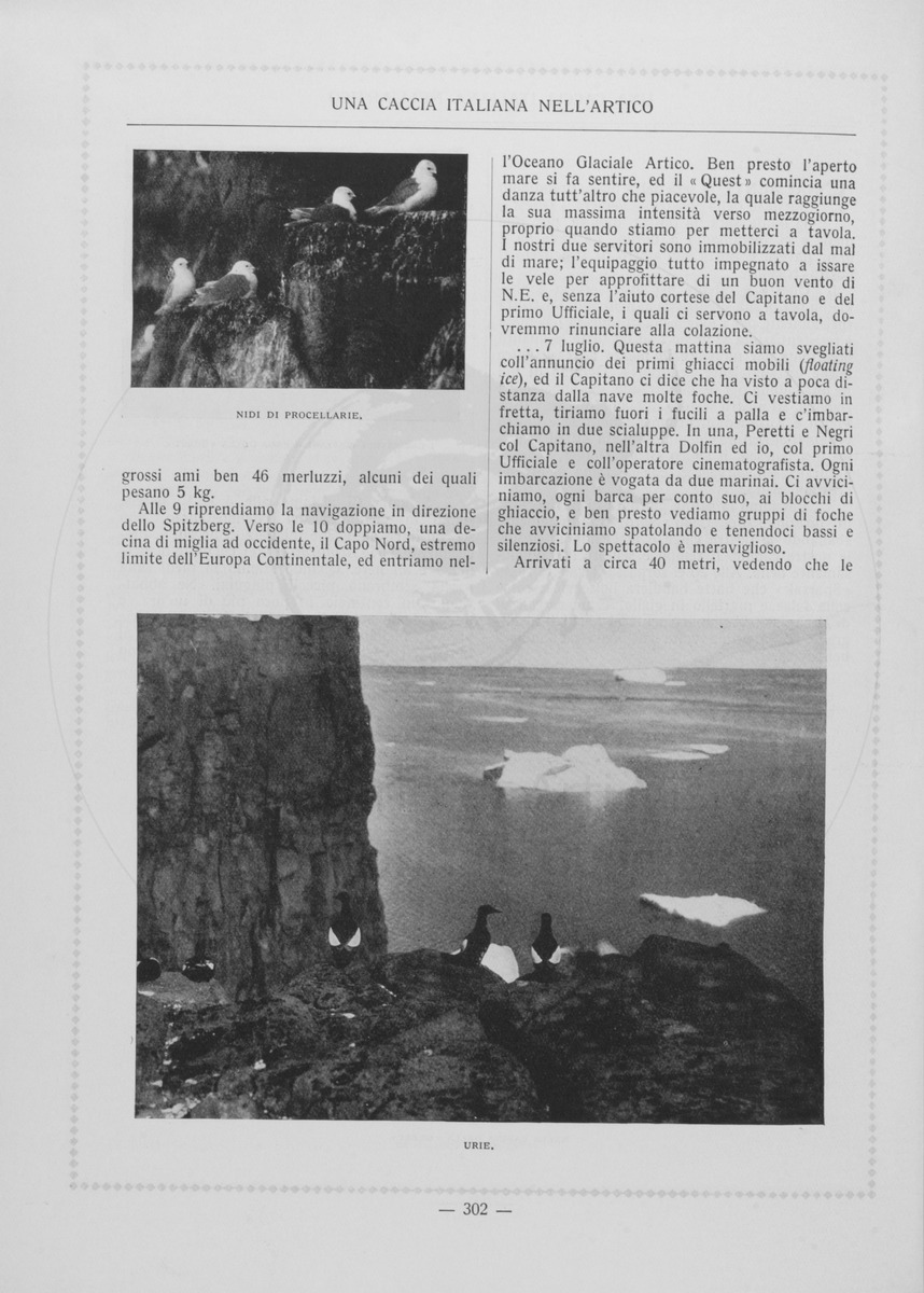 pagina