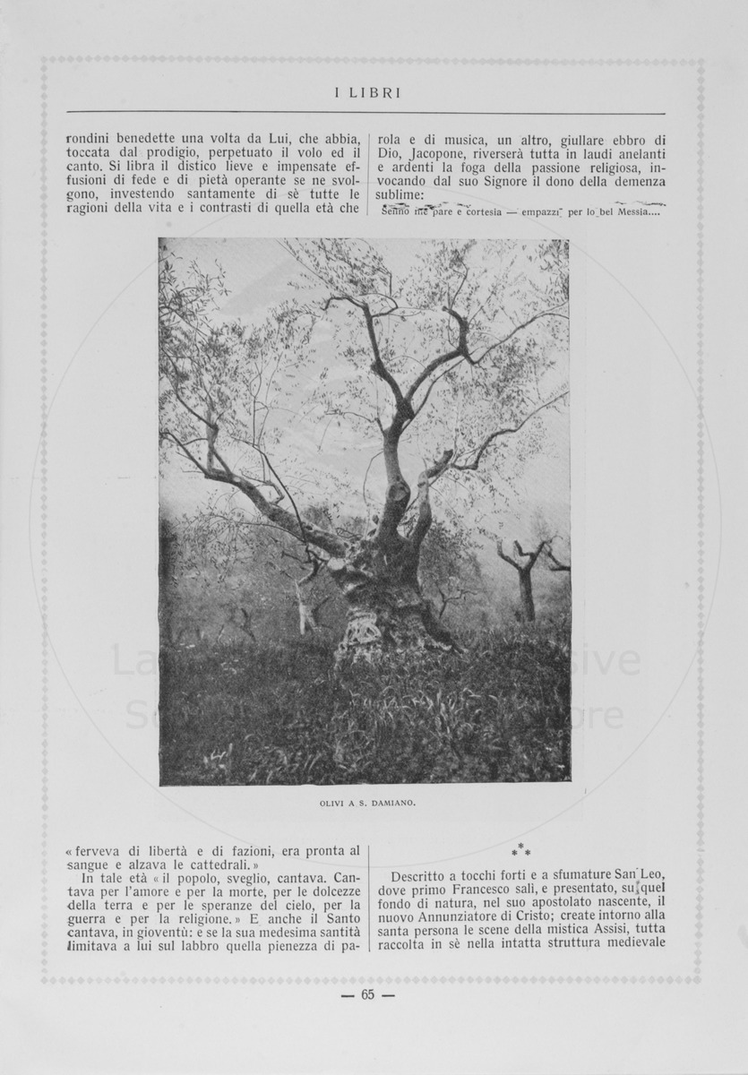 pagina