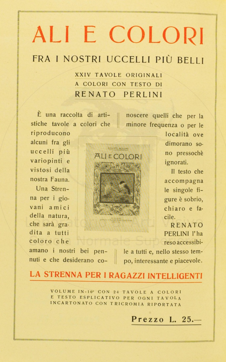 pagina