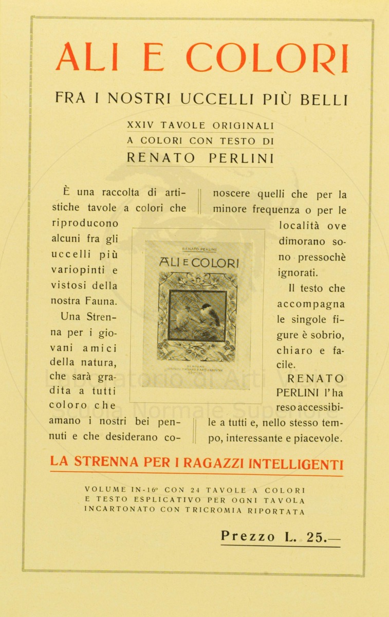 pagina