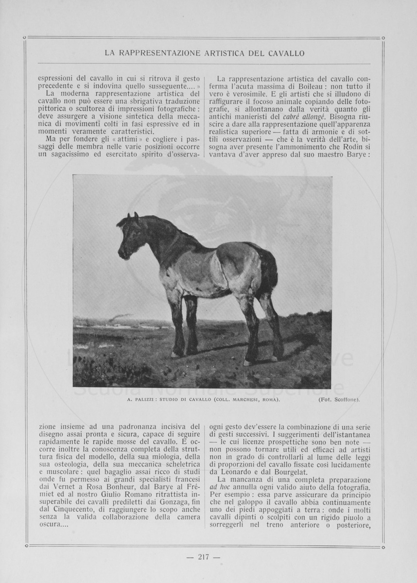 pagina