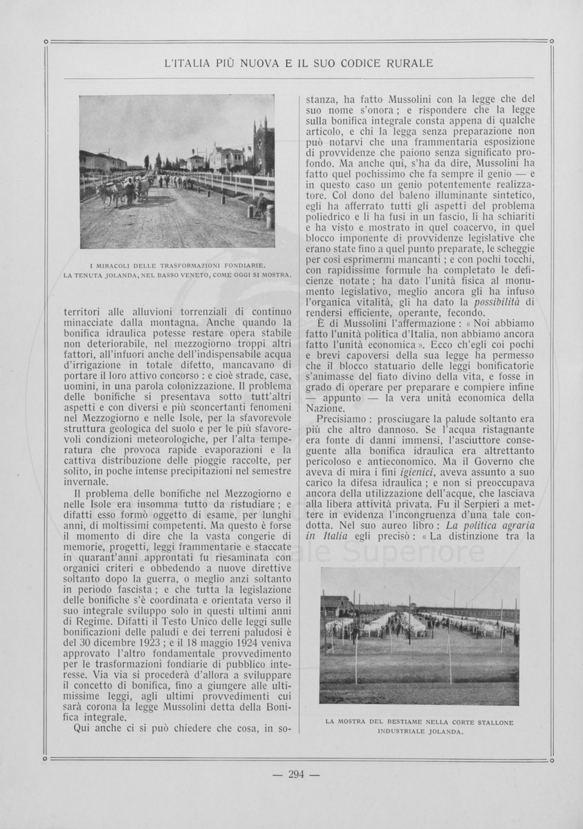 pagina