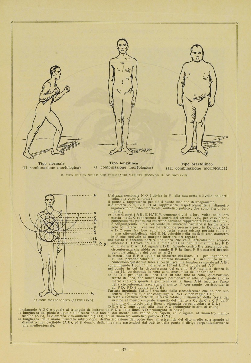 pagina