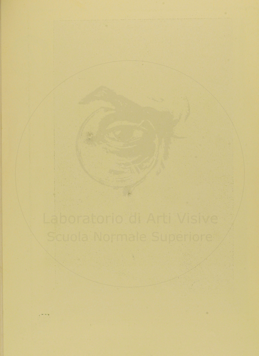 pagina