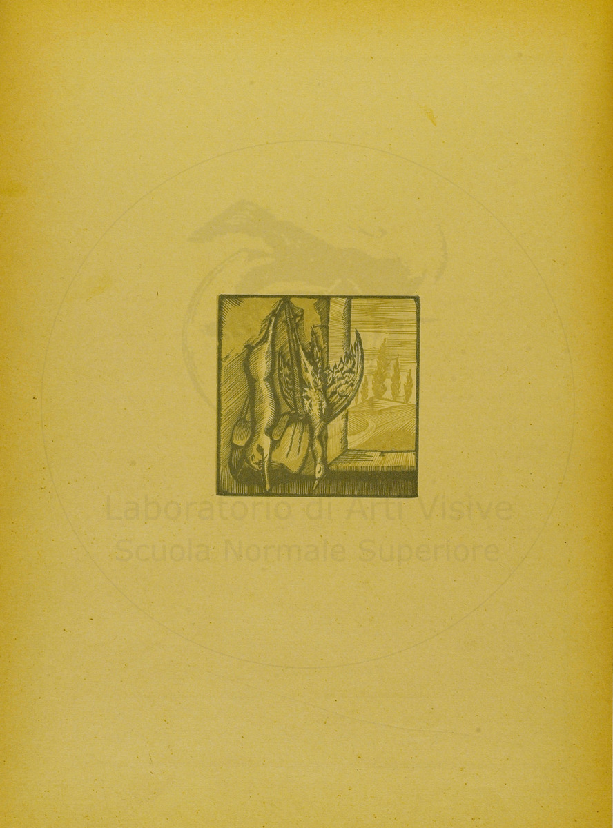 pagina