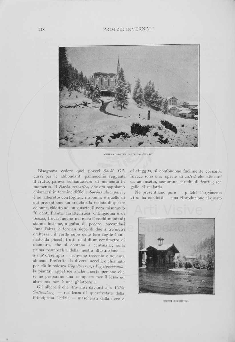 pagina