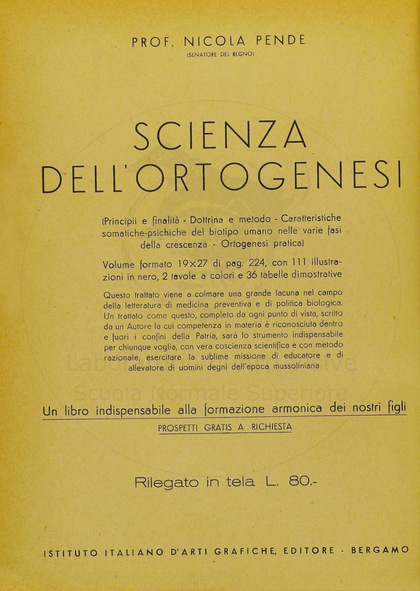 pagina