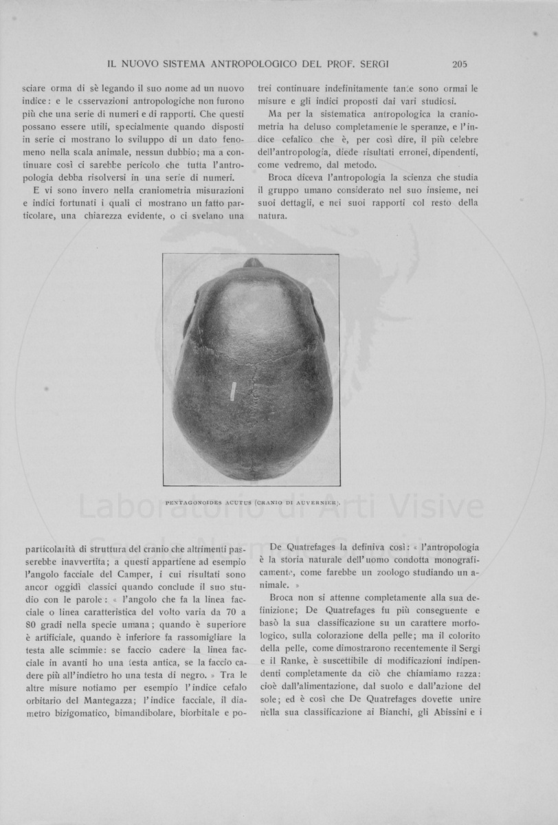 pagina