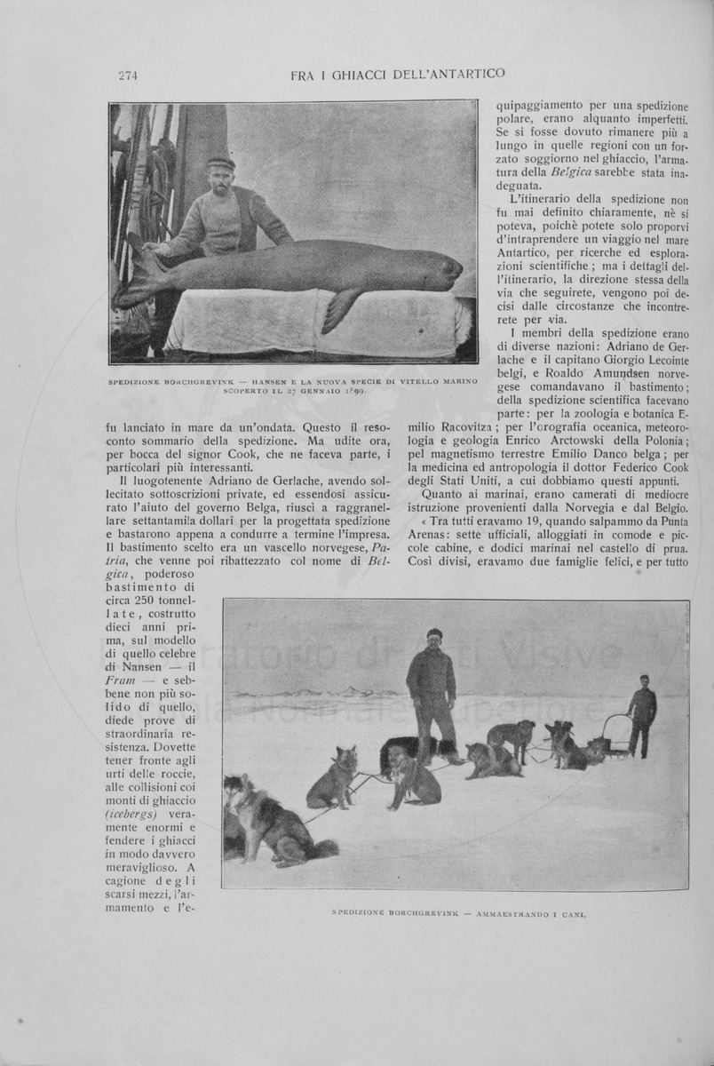 pagina