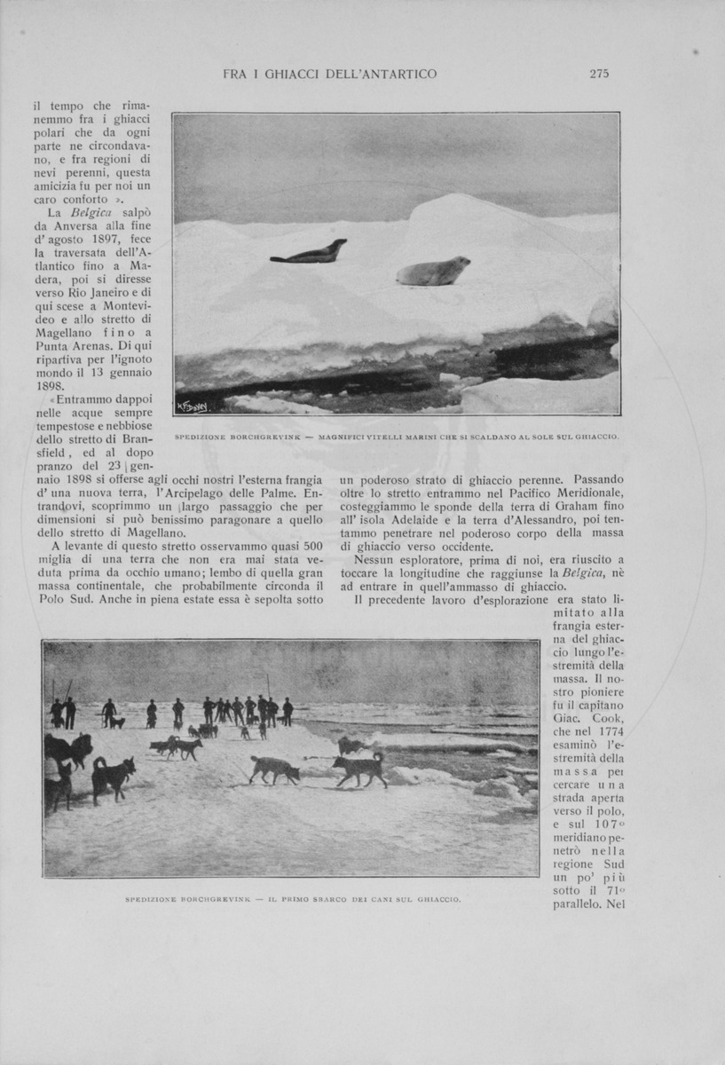 pagina