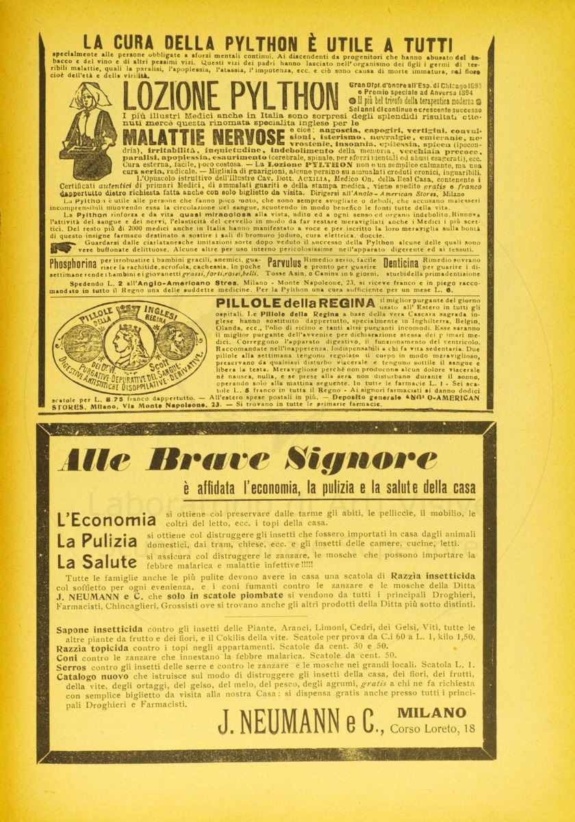 pagina
