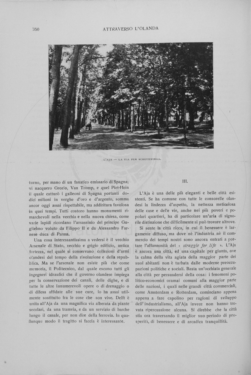 pagina