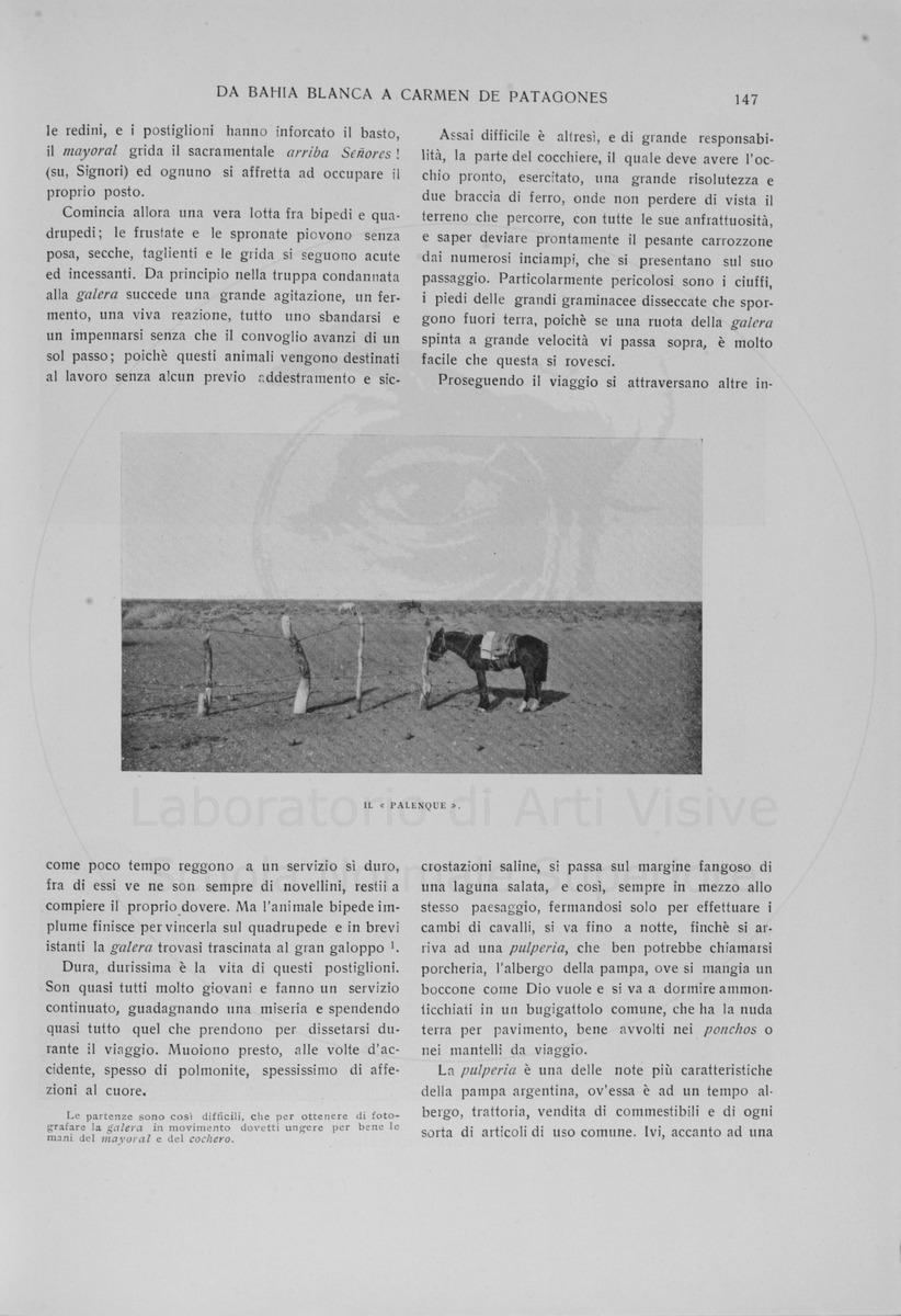 pagina