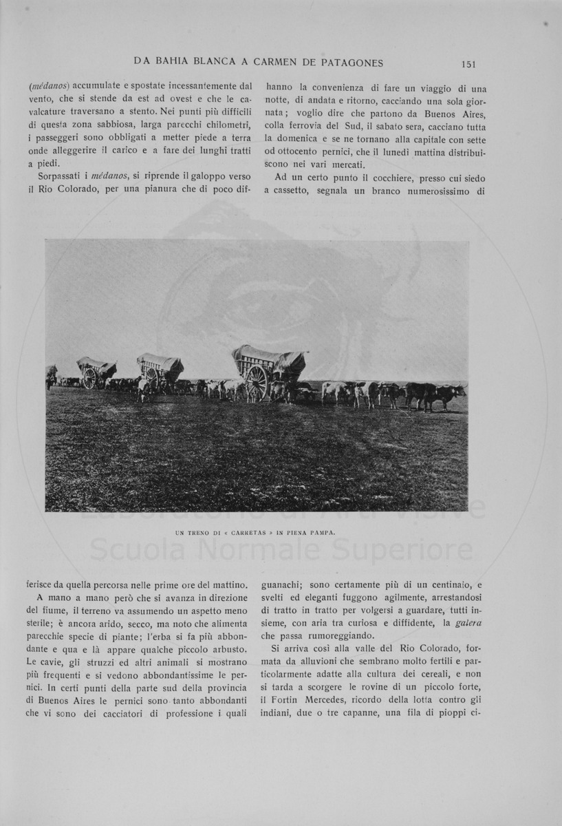 pagina