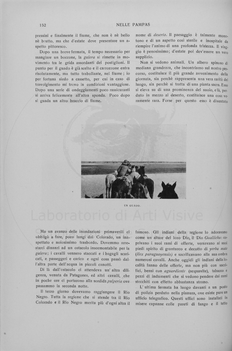 pagina