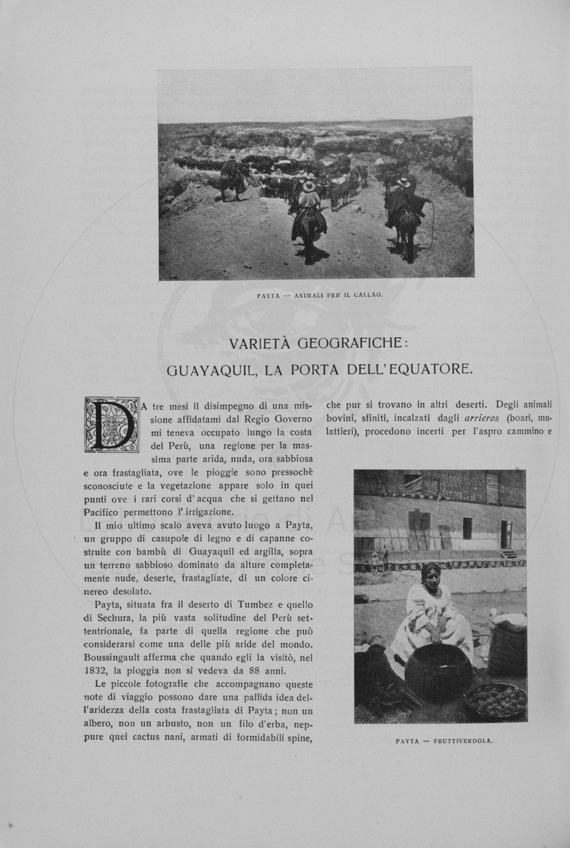 pagina