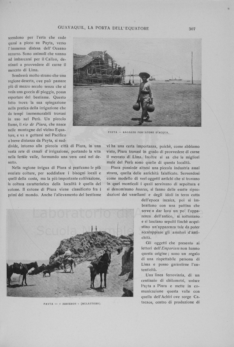 pagina