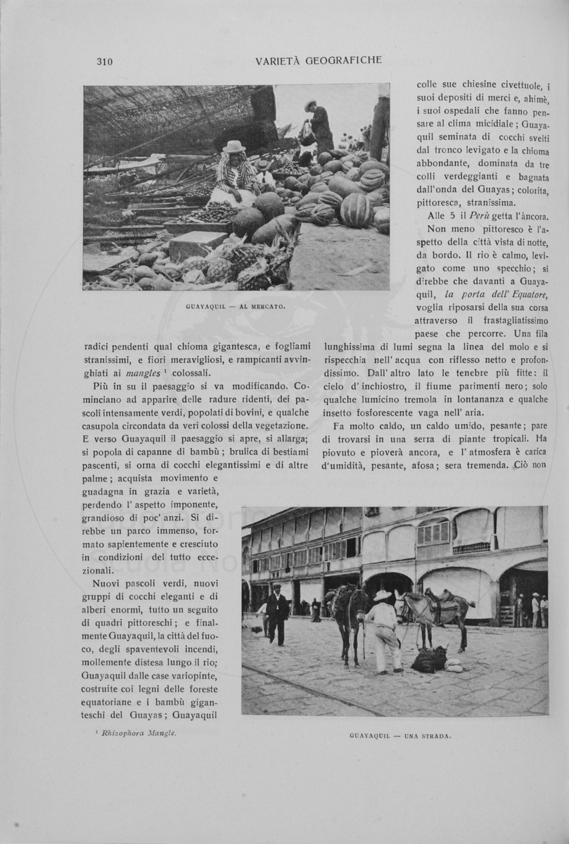 pagina