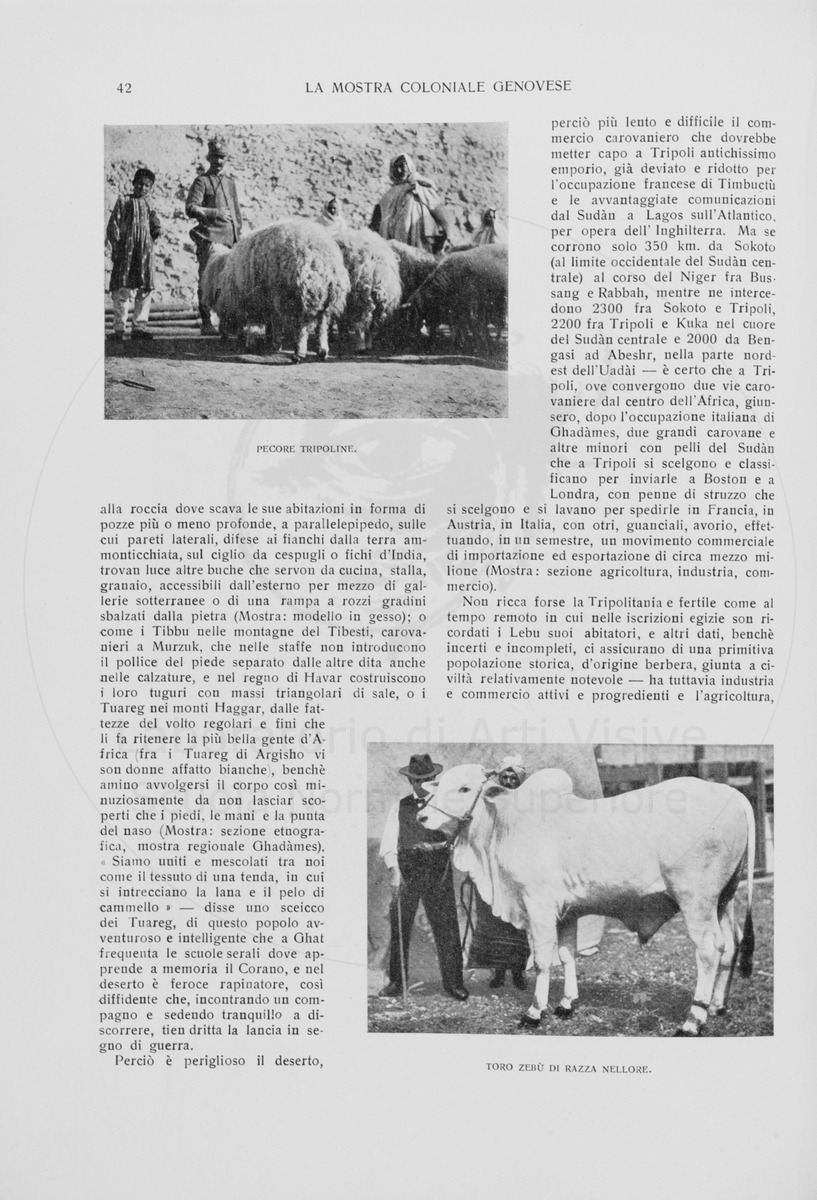 pagina