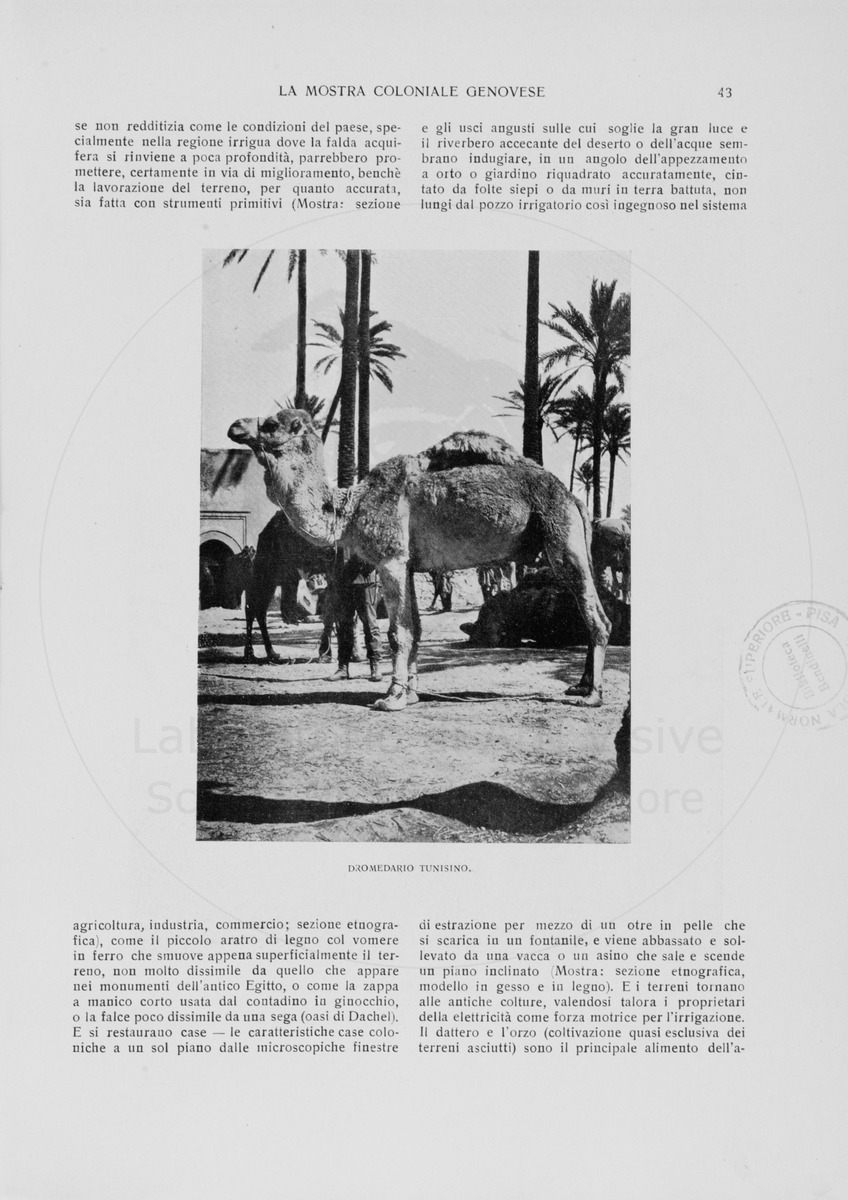 pagina