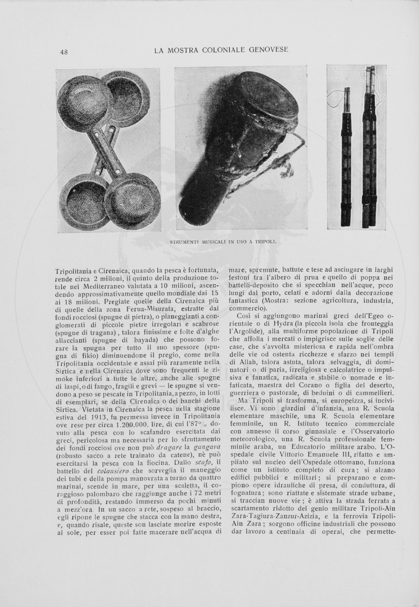 pagina