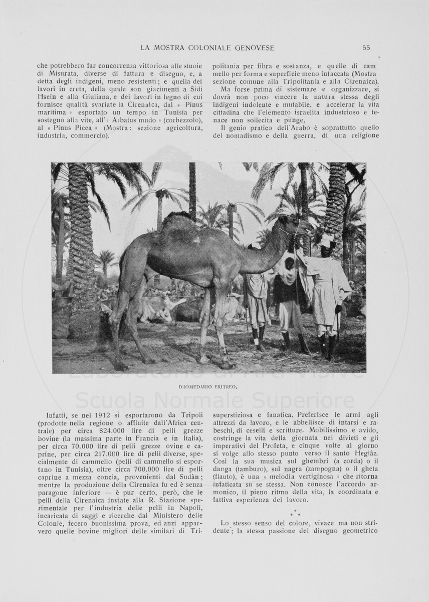 pagina