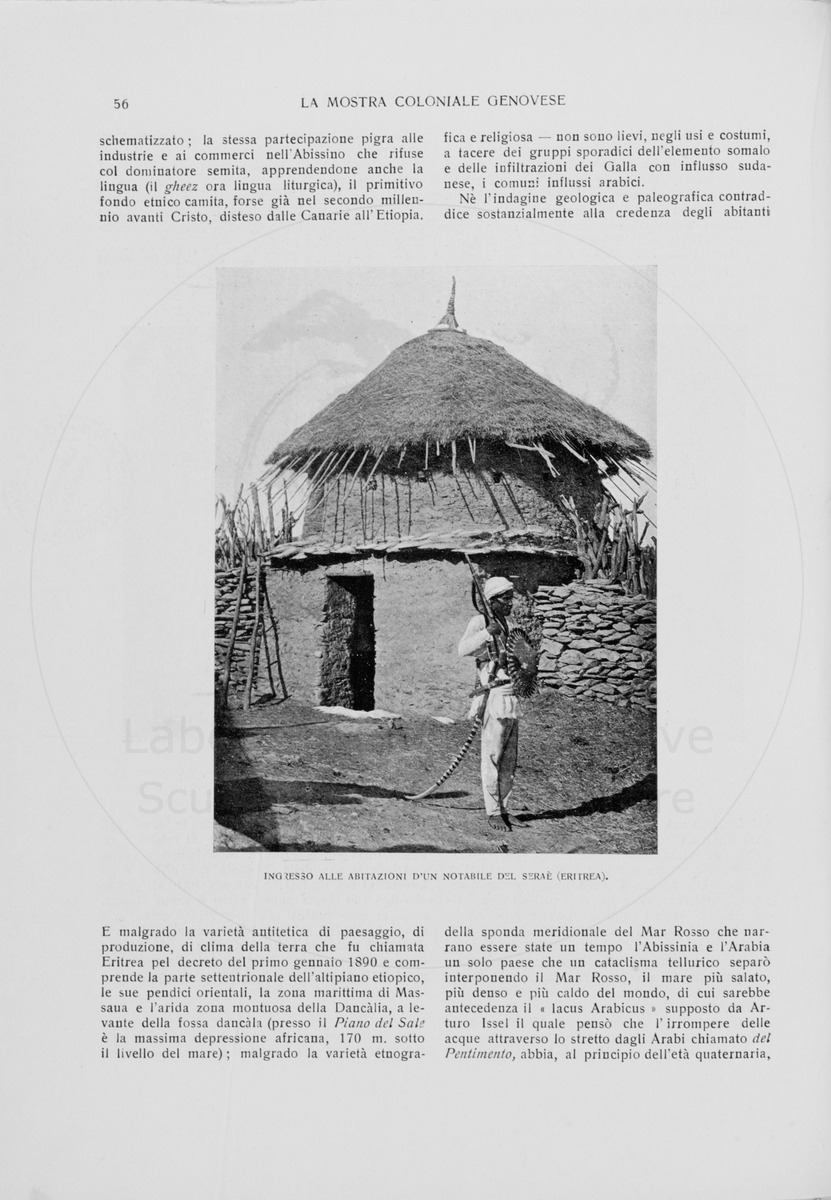 pagina