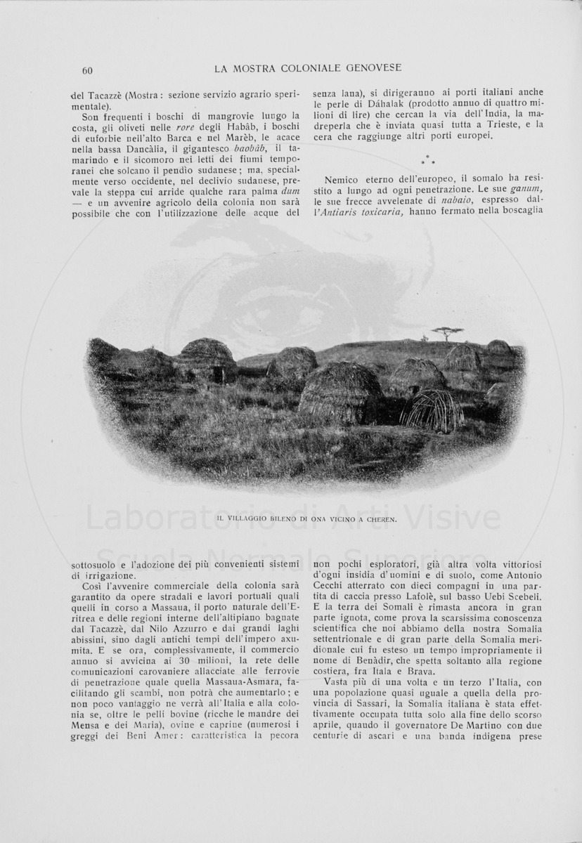 pagina