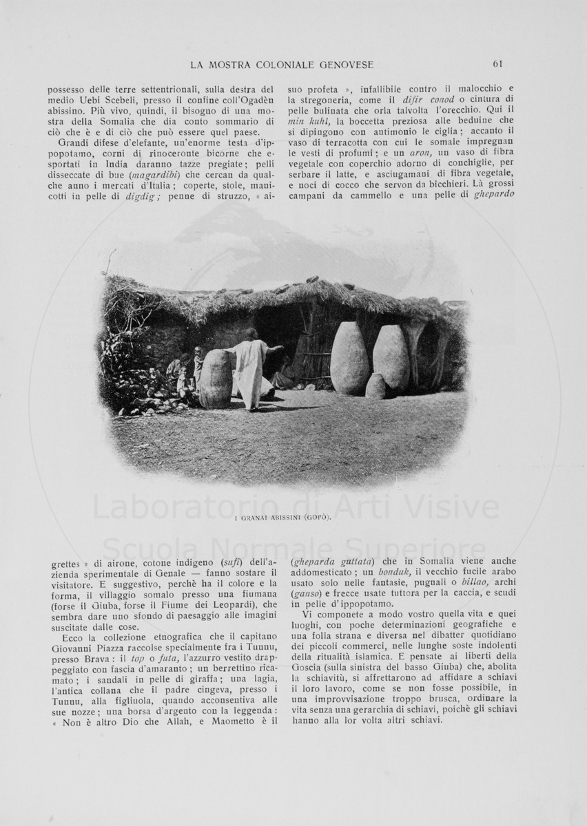 pagina