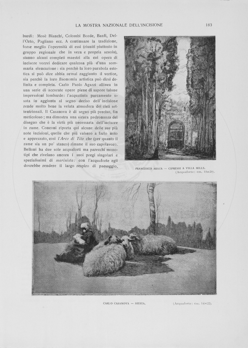 pagina