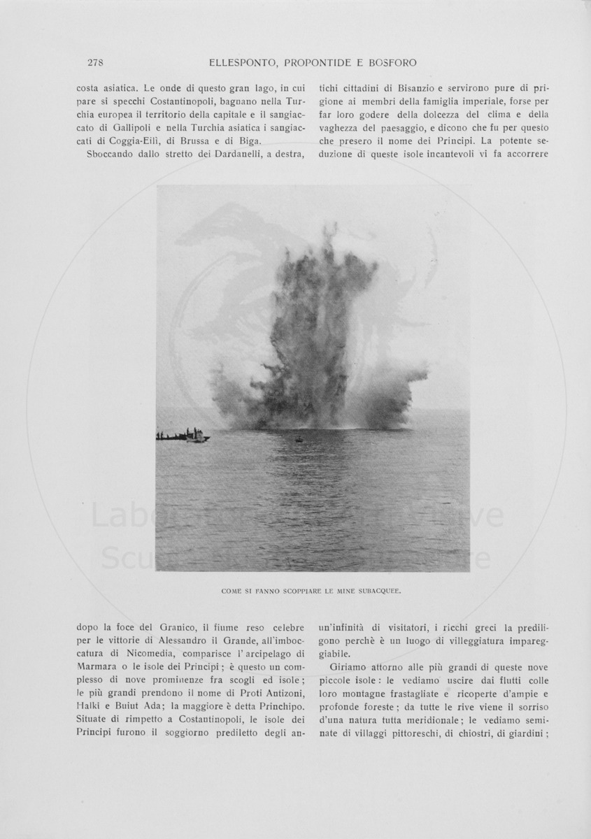 pagina
