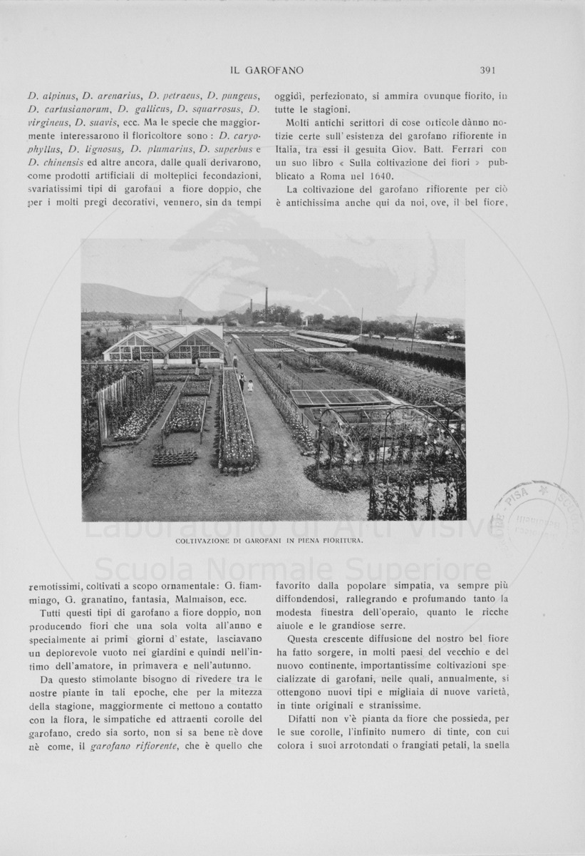 pagina