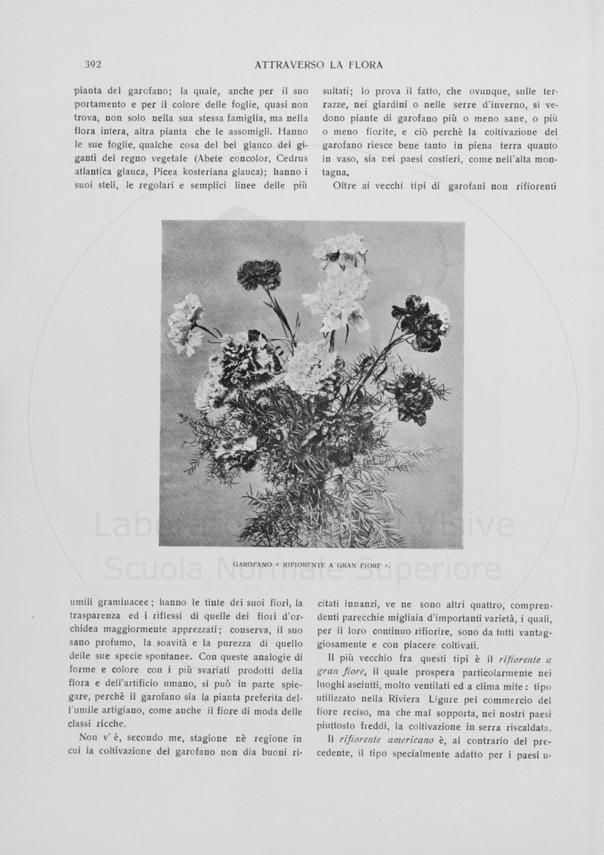 pagina