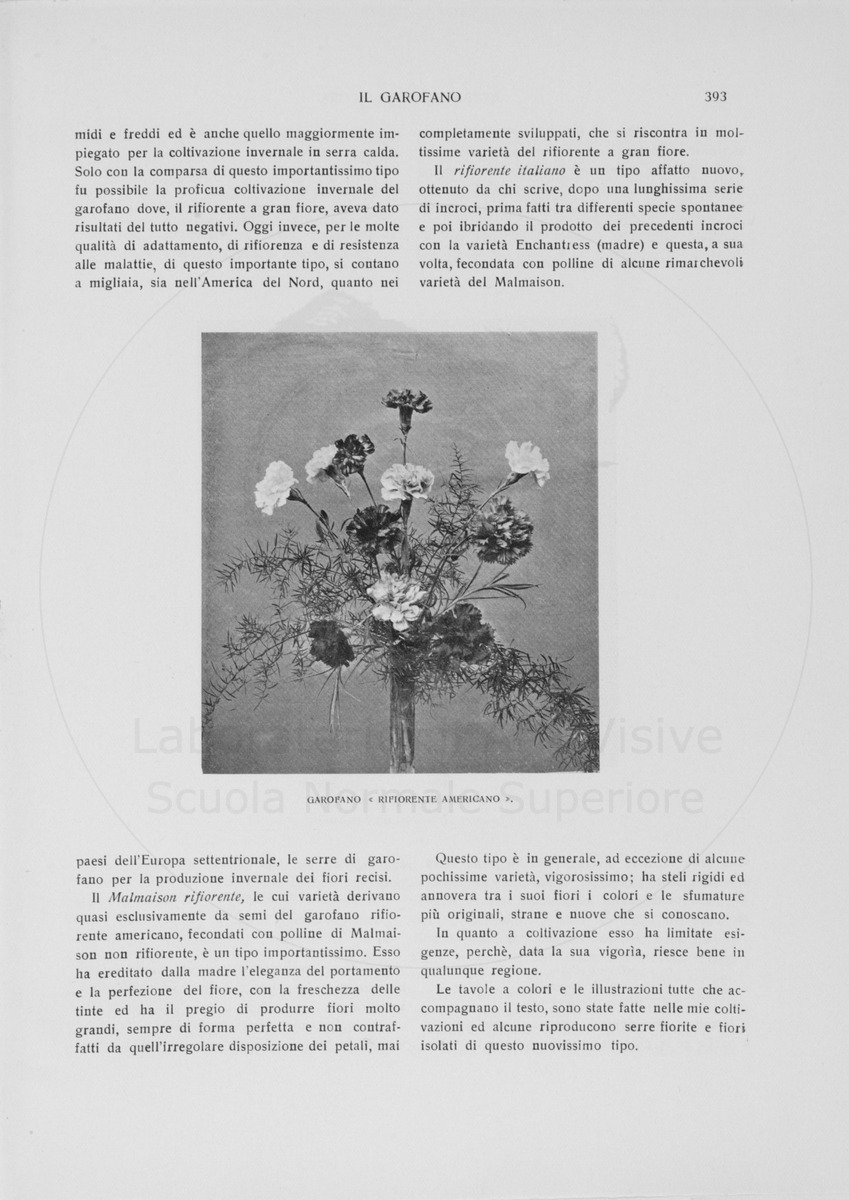 pagina
